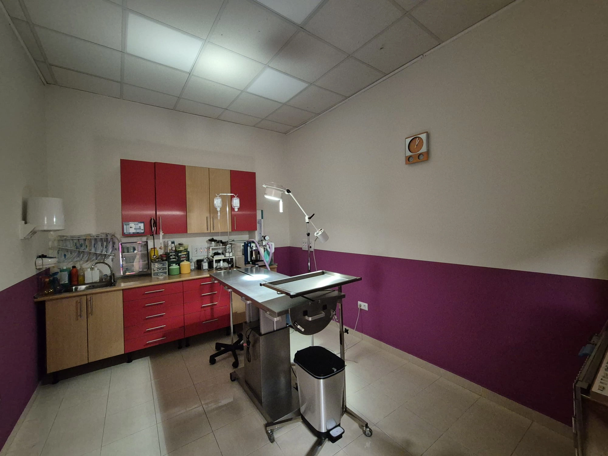 Quirofano Veterinario